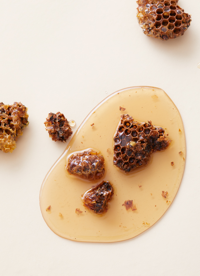 2019AW HEXAGON Honey Bee Culture