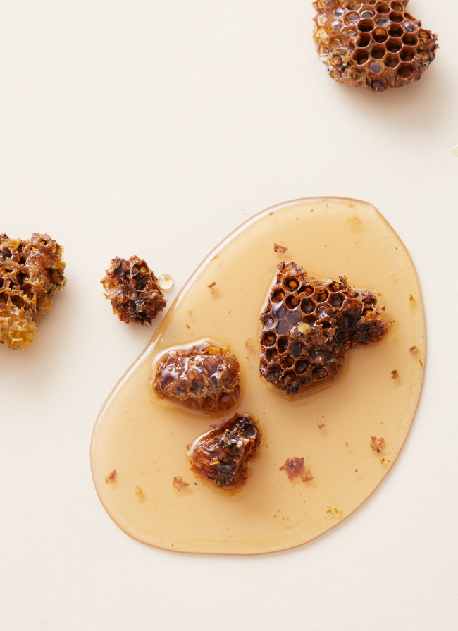 2019AW HEXAGON Honey Bee Culture